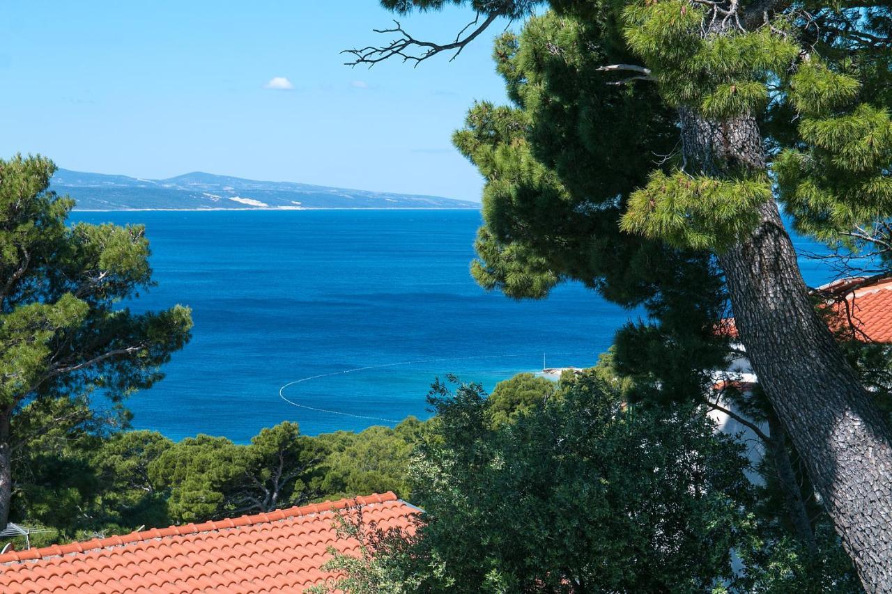 Apartments And Rooms With Parking Space Brela, Makarska - 2717 Luaran gambar